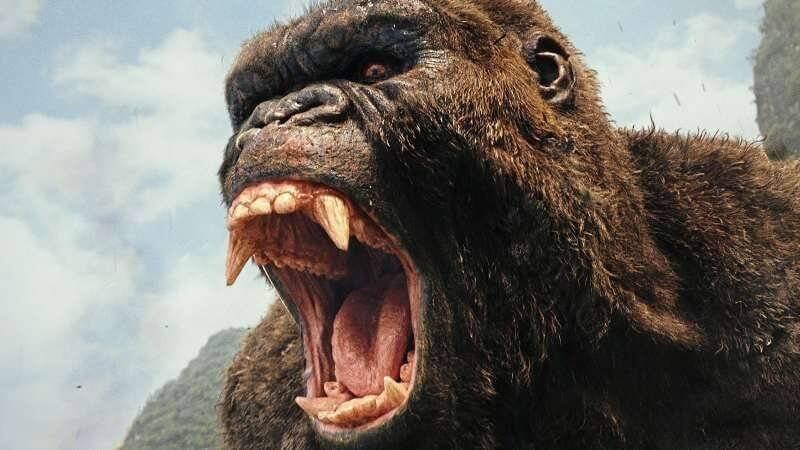 Braucht ein Waxing: Kong